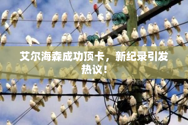 艾尔海森成功顶卡，新纪录引发热议！