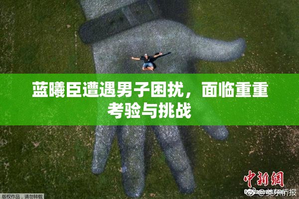 蓝曦臣遭遇男子困扰，面临重重考验与挑战