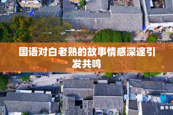 国语对白老熟的故事情感深邃引发共鸣