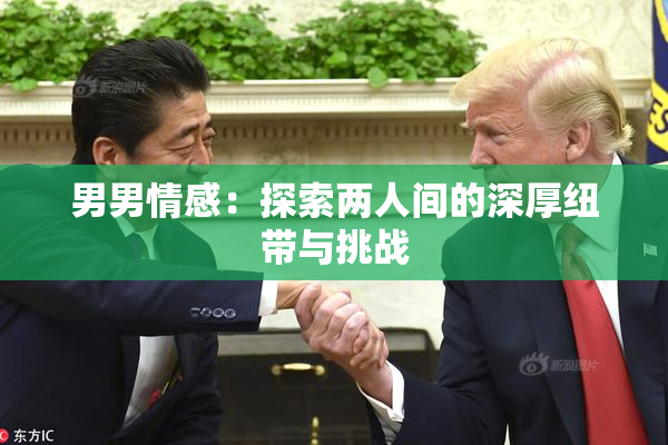 男男情感：探索两人间的深厚纽带与挑战