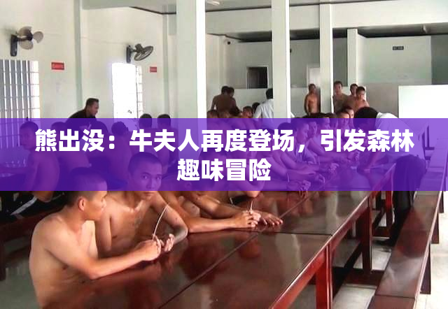 熊出没：牛夫人再度登场，引发森林趣味冒险