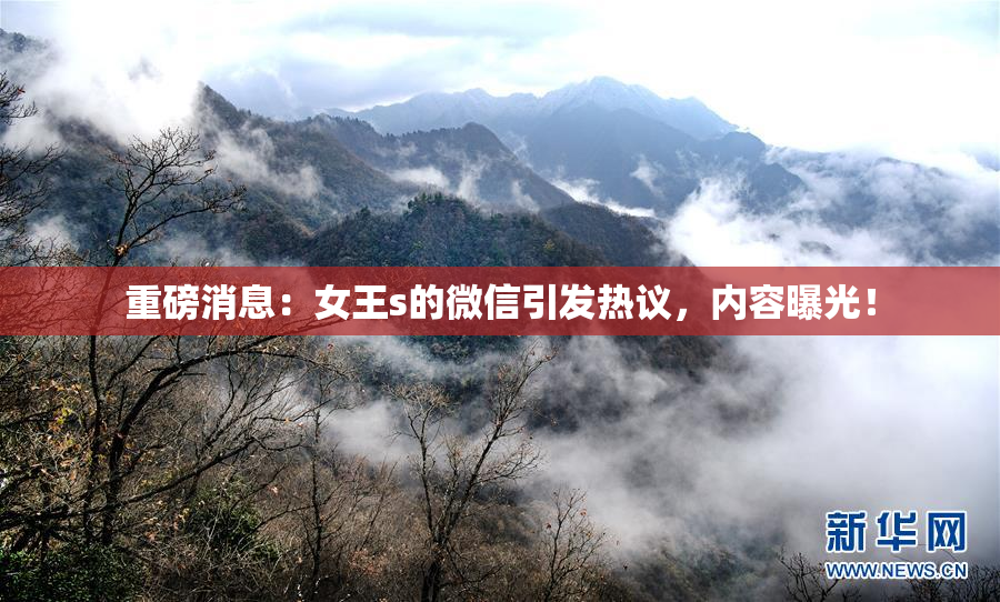 重磅消息：女王s的微信引发热议，内容曝光！