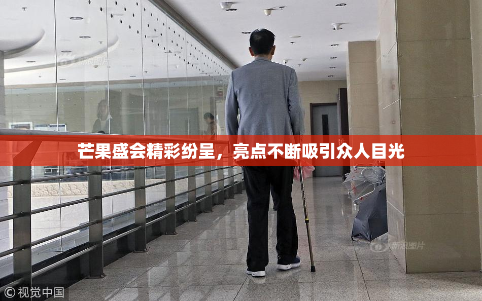 芒果盛会精彩纷呈，亮点不断吸引众人目光