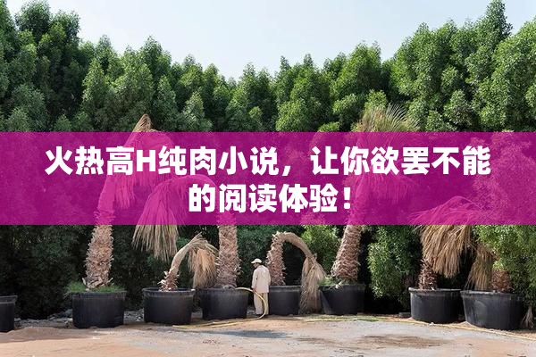 火热高H纯肉小说，让你欲罢不能的阅读体验！