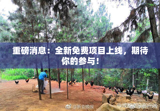重磅消息：全新免费项目上线，期待你的参与！
