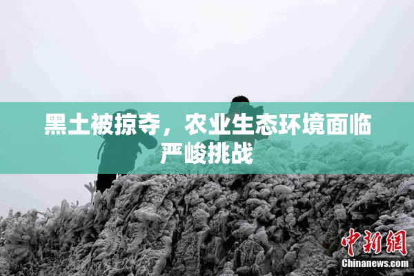 黑土被掠夺，农业生态环境面临严峻挑战