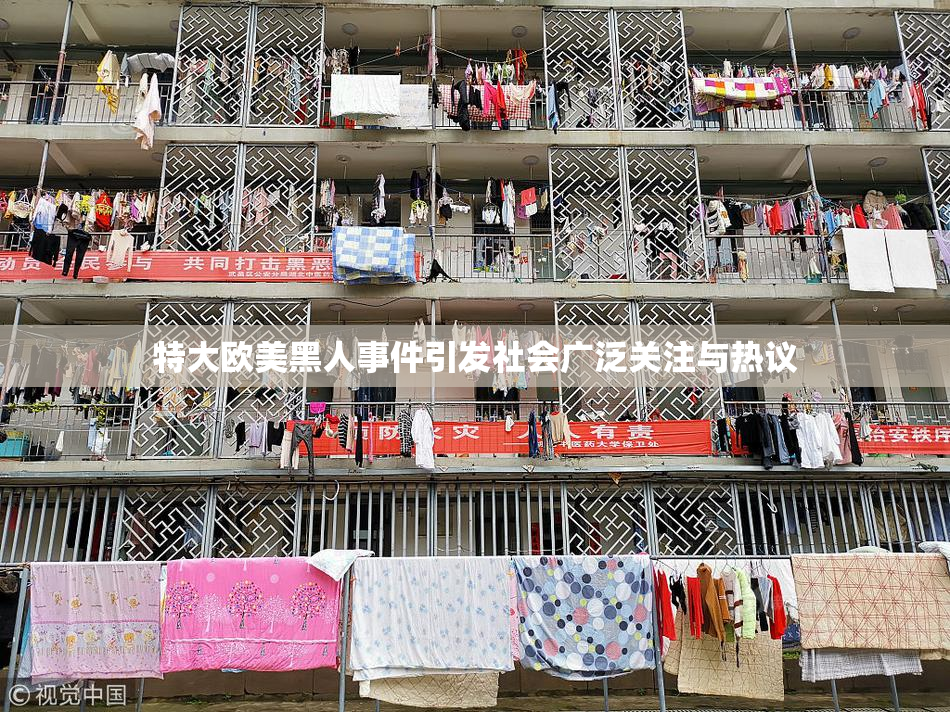 特大欧美黑人事件引发社会广泛关注与热议