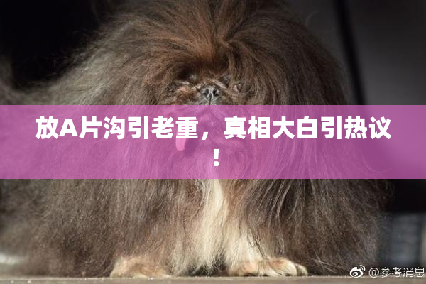放A片沟引老重，真相大白引热议！