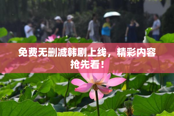 免费无删减韩剧上线，精彩内容抢先看！