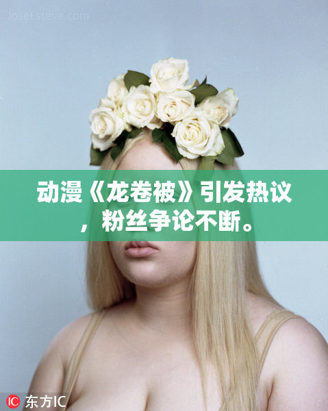 动漫《龙卷被》引发热议，粉丝争论不断。