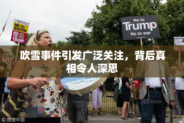 吹雪事件引发广泛关注，背后真相令人深思