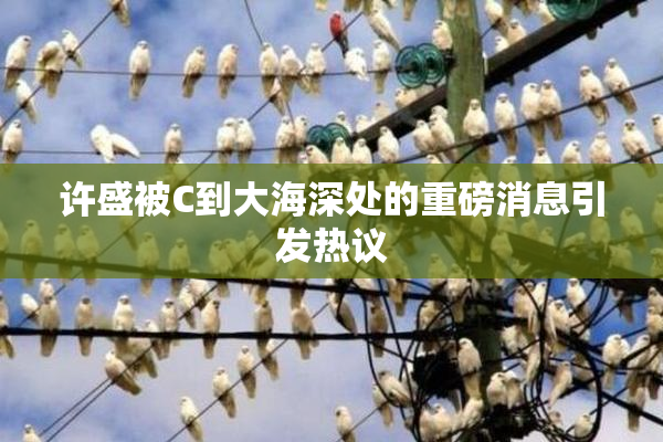 许盛被C到大海深处的重磅消息引发热议