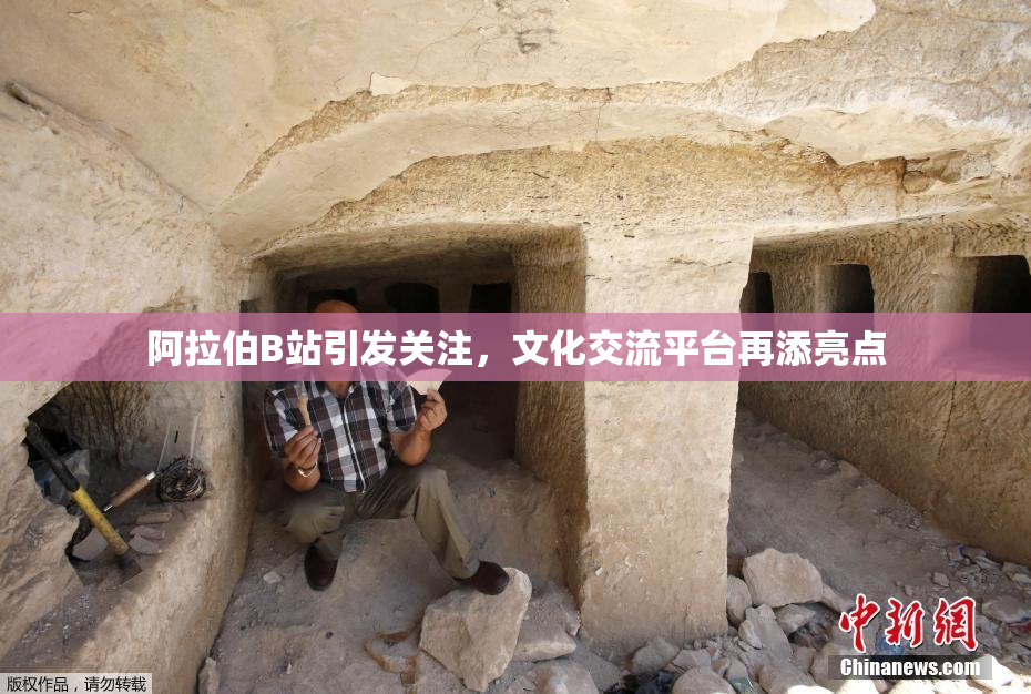 阿拉伯B站引发关注，文化交流平台再添亮点