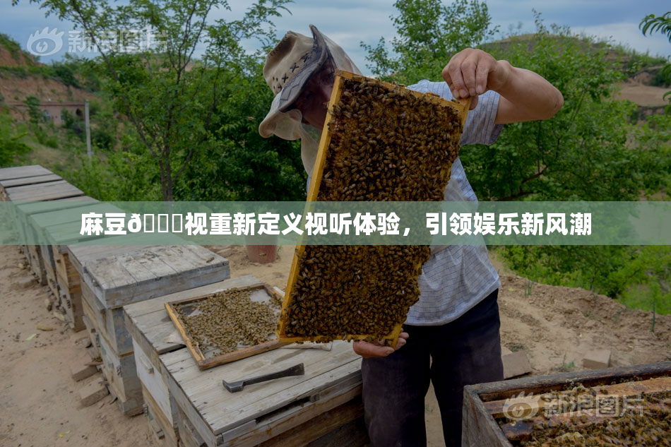 麻豆🔞视重新定义视听体验，引领娱乐新风潮