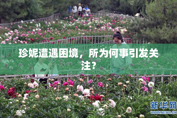 珍妮遭遇困境，所为何事引发关注？