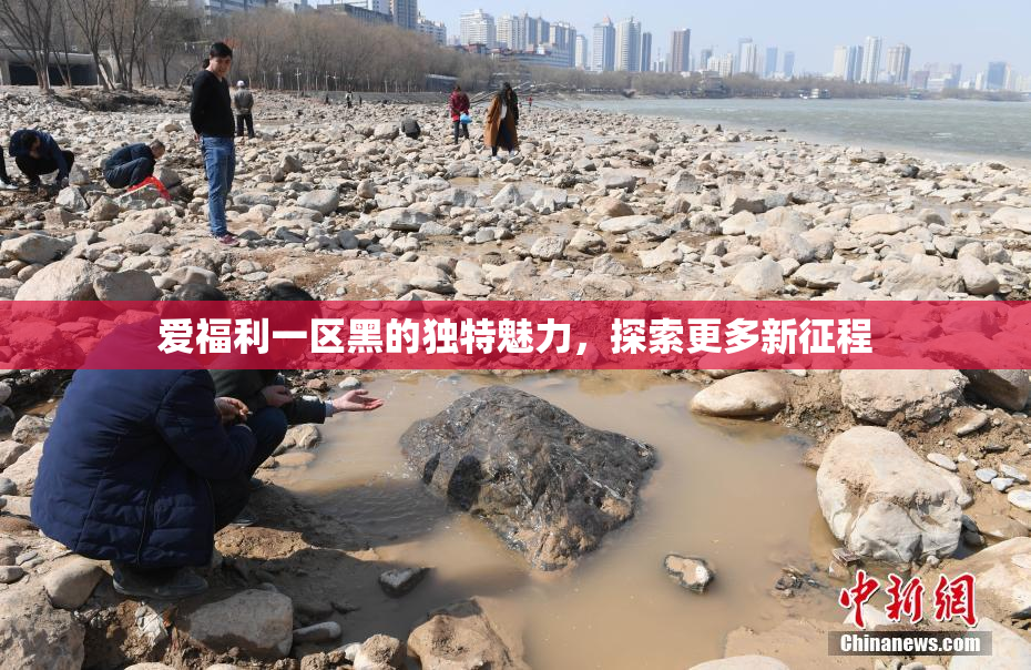 爱福利一区黑的独特魅力，探索更多新征程