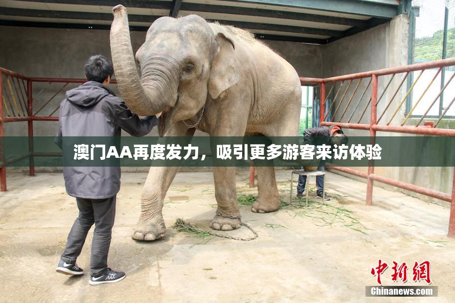 澳门AA再度发力，吸引更多游客来访体验