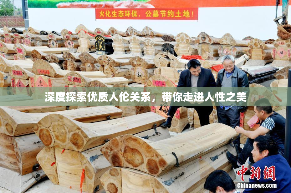 深度探索优质人伦关系，带你走进人性之美