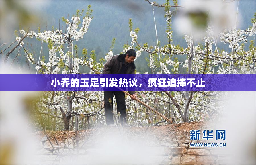 小乔的玉足引发热议，疯狂追捧不止