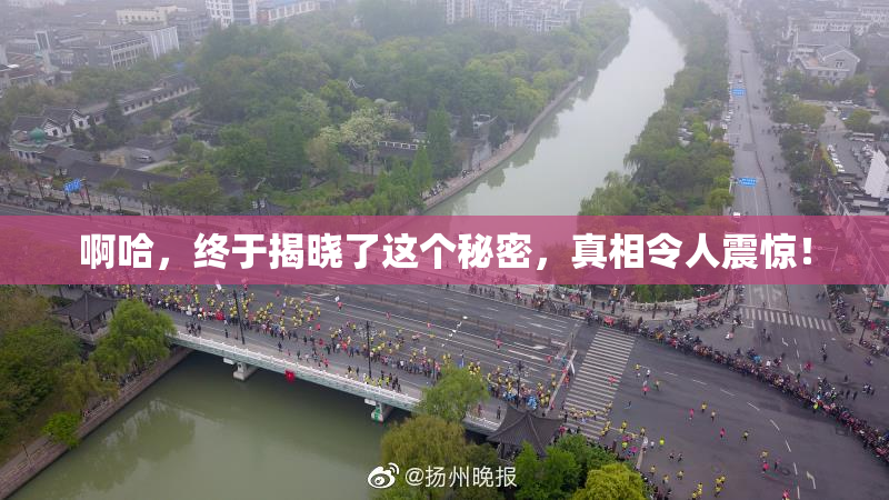 啊哈，终于揭晓了这个秘密，真相令人震惊！