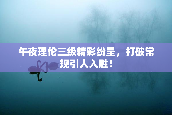 午夜理伦三级精彩纷呈，打破常规引人入胜！