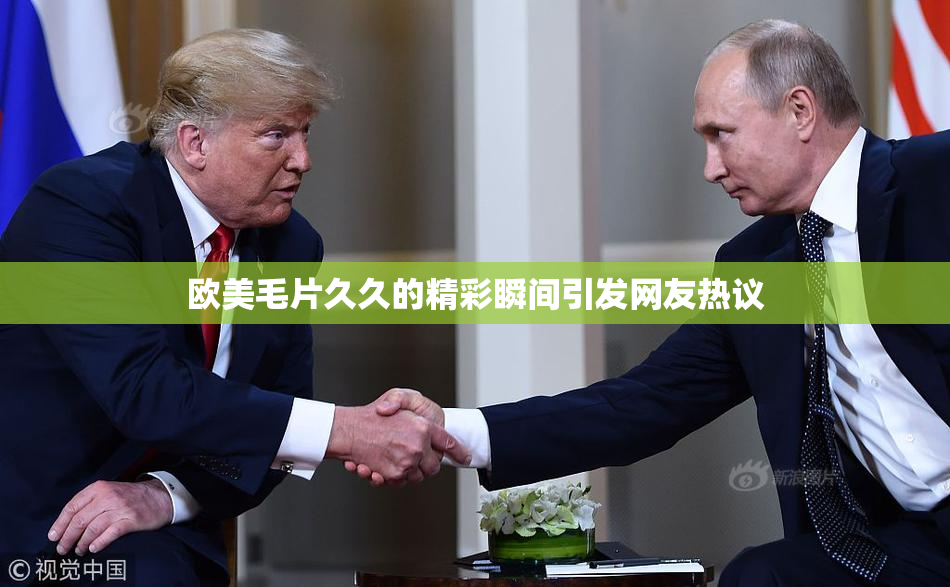 欧美毛片久久的精彩瞬间引发网友热议