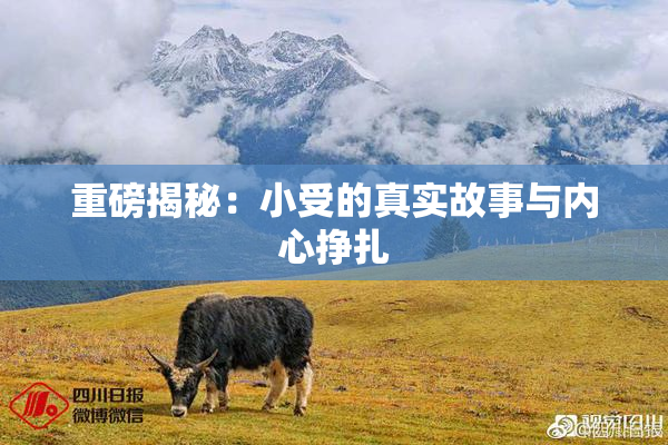 重磅揭秘：小受的真实故事与内心挣扎