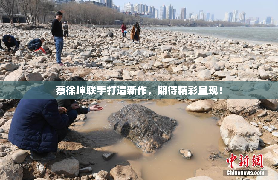 蔡徐坤联手打造新作，期待精彩呈现！