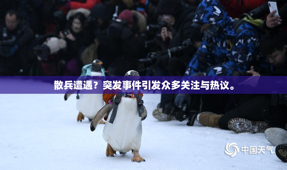 散兵遭遇？突发事件引发众多关注与热议。