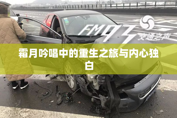 霜月吟唱中的重生之旅与内心独白