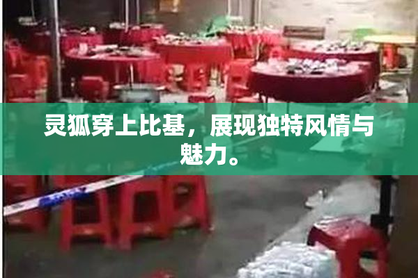 灵狐穿上比基，展现独特风情与魅力。