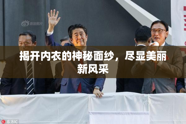 揭开内衣的神秘面纱，尽显美丽新风采