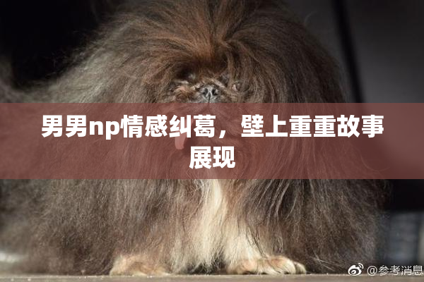 男男np情感纠葛，壁上重重故事展现