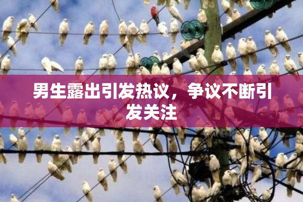 男生露出引发热议，争议不断引发关注