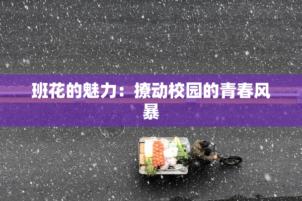 班花的魅力：撩动校园的青春风暴