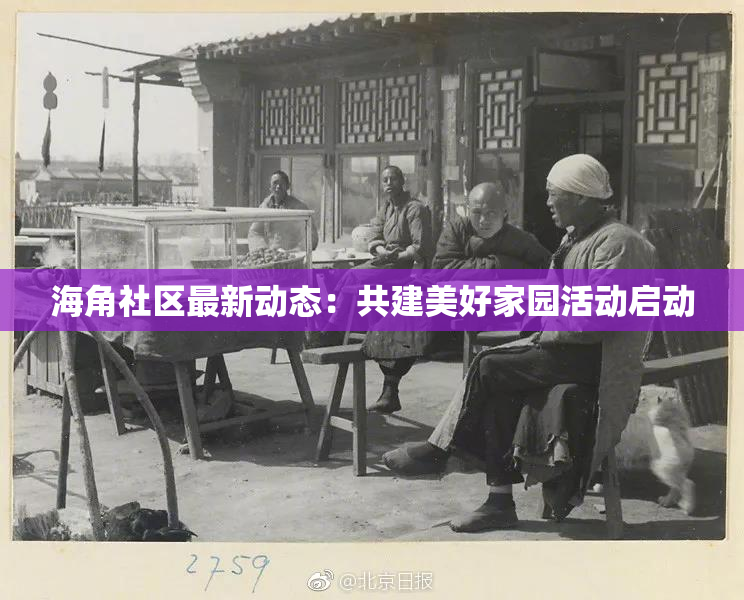 海角社区最新动态：共建美好家园活动启动