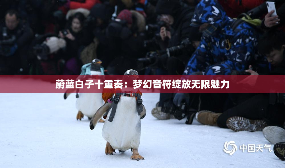 蔚蓝白子十重奏：梦幻音符绽放无限魅力