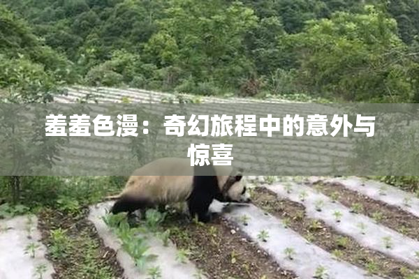 羞羞色漫：奇幻旅程中的意外与惊喜