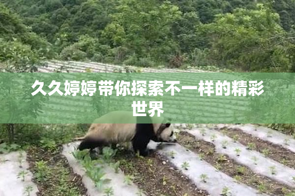 久久婷婷带你探索不一样的精彩世界