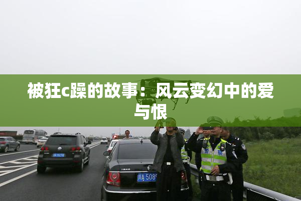被狂c躁的故事：风云变幻中的爱与恨
