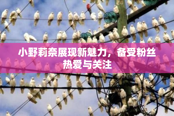 小野莉奈展现新魅力，备受粉丝热爱与关注