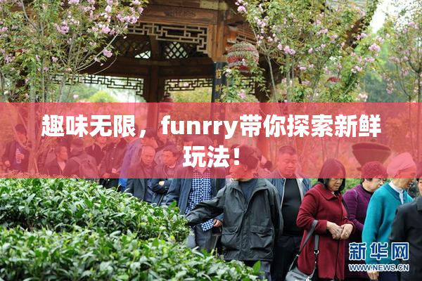 趣味无限，funrry带你探索新鲜玩法！