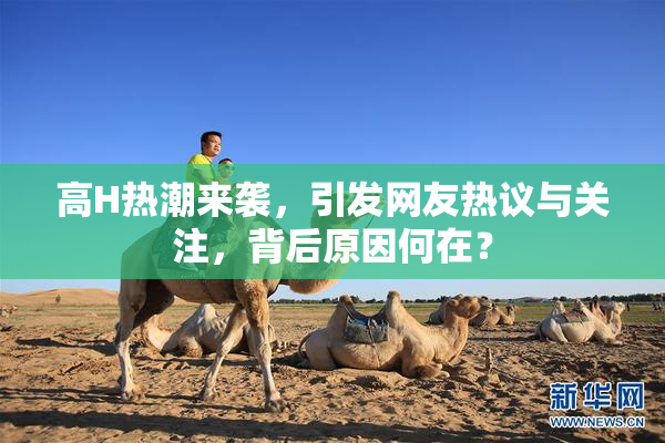 高H热潮来袭，引发网友热议与关注，背后原因何在？
