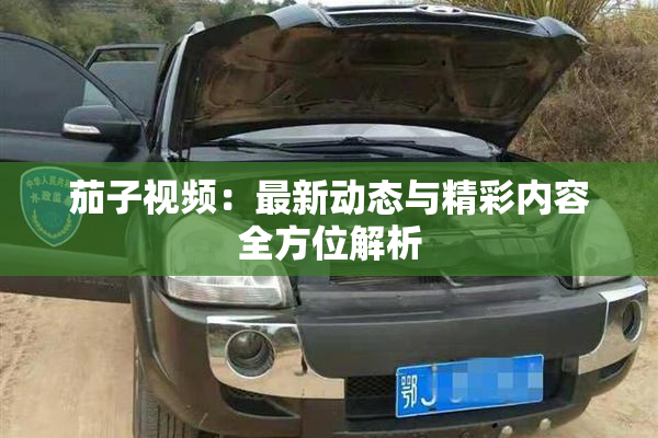 茄子视频：最新动态与精彩内容全方位解析