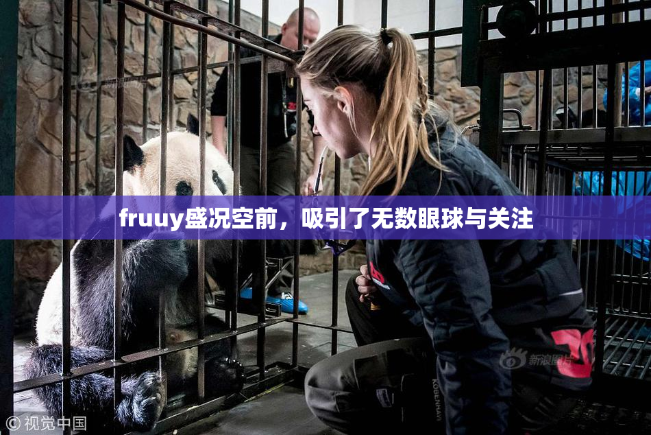 fruuy盛况空前，吸引了无数眼球与关注
