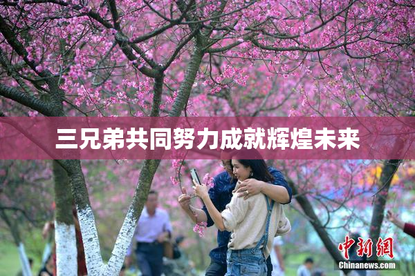 三兄弟共同努力成就辉煌未来