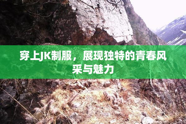穿上JK制服，展现独特的青春风采与魅力