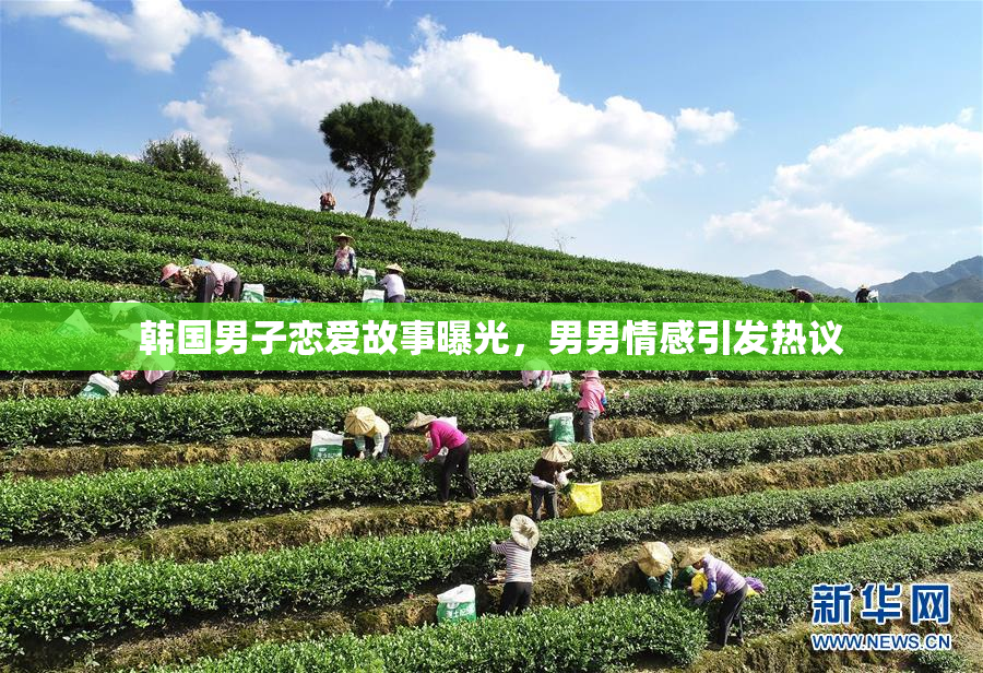 韩国男子恋爱故事曝光，男男情感引发热议