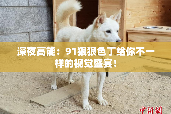 深夜高能：91狠狠色丁给你不一样的视觉盛宴！