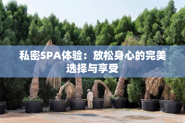 私密SPA体验：放松身心的完美选择与享受
